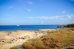Horseriding rest spot at Malmok Aruba